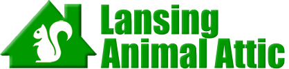 Lansing Animal Attic